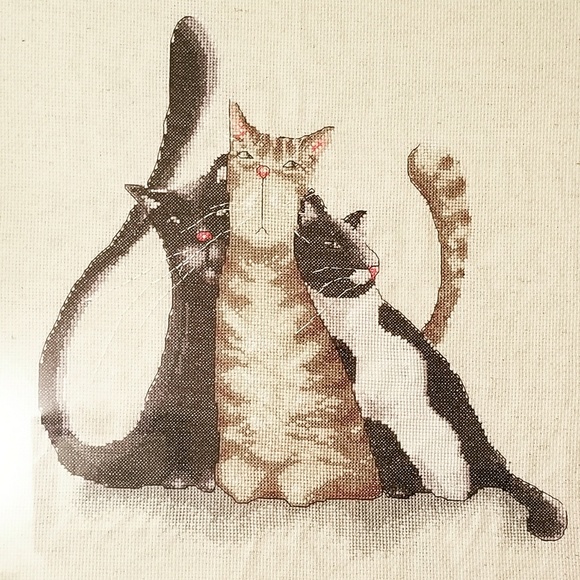 Meet your Posher, Yujin - Picture 7 of 8